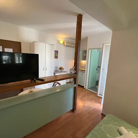 Biljana Ivanisevic Елса