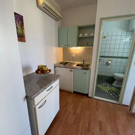 Biljana Ivanisevic * Елса