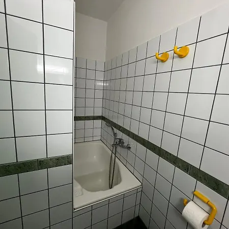 Biljana Ivanisevic *