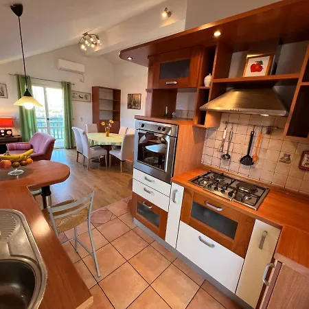 Biljana Ivanisevic Елса