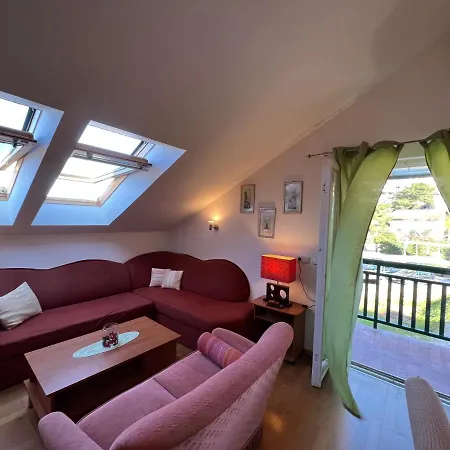 Biljana Ivanisevic Елса