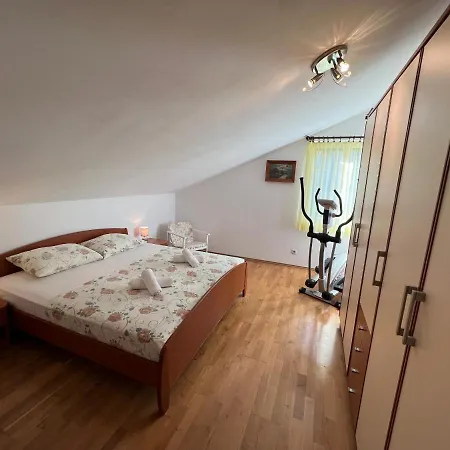 Biljana Ivanisevic Елса